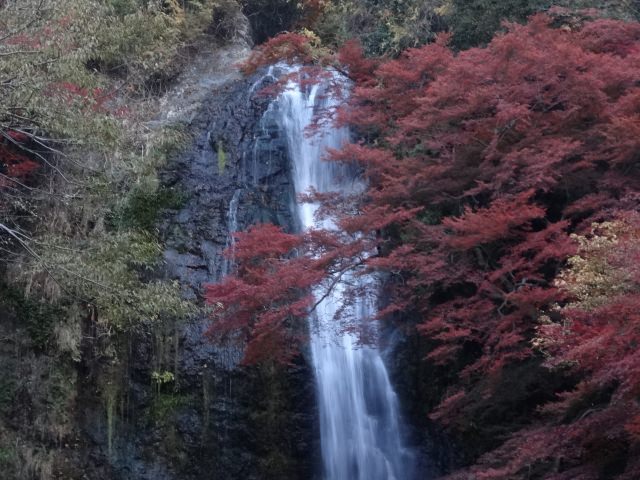 7. 日本瀑布百選之一「箕面瀑布」