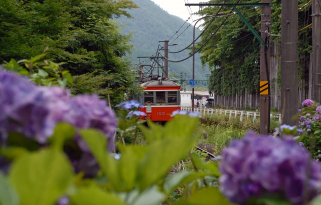 １． 搭乘箱根登山鐵道欣賞風景