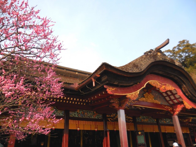 3. 福岡觀光的基本代表「太宰府天滿宮」