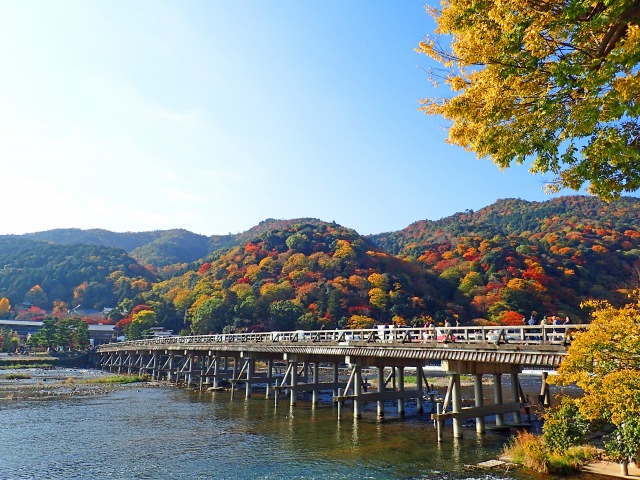 8. 能一望鮮豔的紅葉群山的景點「渡月橋」