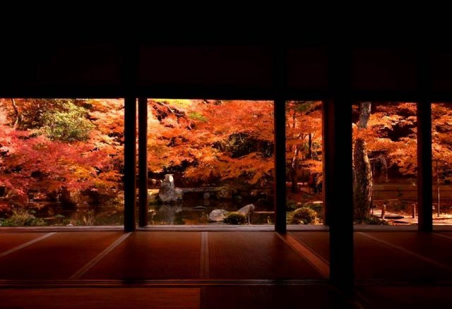 10. 能看到夢幻般的“紅葉地毯”的賞楓景點「實相院」
