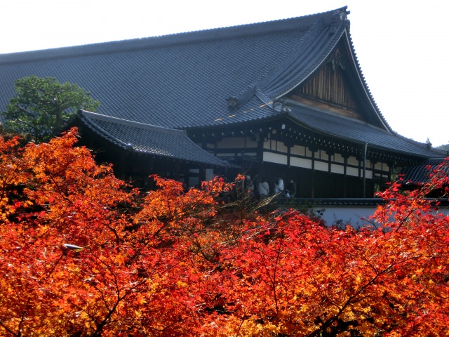 2. 從通天橋所望去的賞楓真的是絕景！「東福寺」