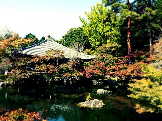 5. 自古以來就佇立於京都的市街中，非常有歷史的景點「醍醐寺」
