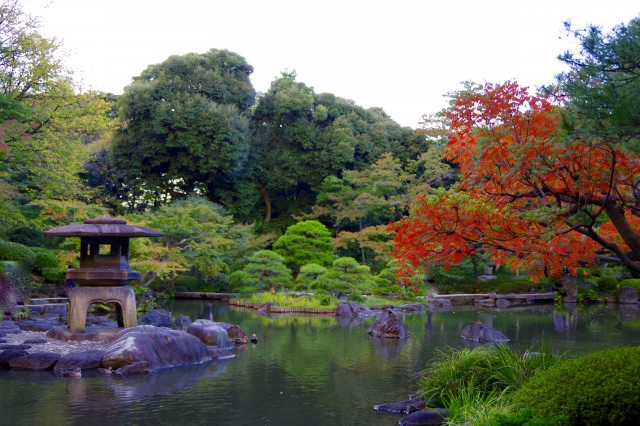 1. 說到東京的賞楓的話！環繞夢幻般庭園「六義園」