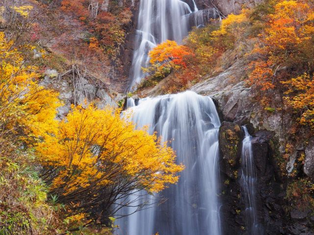 8. 被日本的滝百選選為第2位！其美麗壓倒大眾「安之滝」