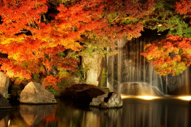 10. 姬路市中能感受到日本旨趣的賞楓景點「好古園」