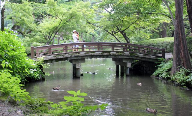想配著冷麵一起吃 盛岡絕對值得一去的烤肉人氣店10選 Seeingjapan