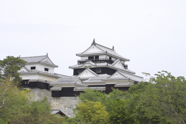 3. 欣賞松山的歷史性建築物。喜歡日本歷史的人不能錯過的觀光景點「松山城」