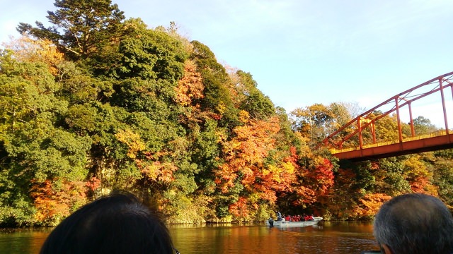 6. 能同時享受紅葉與健行等樂趣的景點！「龜山湖」(千葉縣)