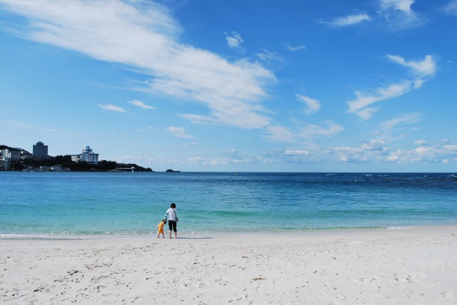 64. 【和歌山縣】美麗的全白沙灘，日本數一數二的觀光景點！「白良濱」
