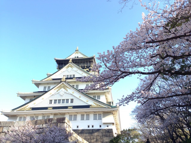 2. 大阪市民的休憩地同時也是賞櫻景點「大阪城公園」