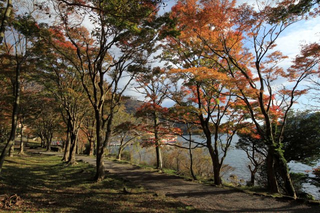 4. 在度假村區域一邊賞楓一邊散步吧「蘆葦湖」