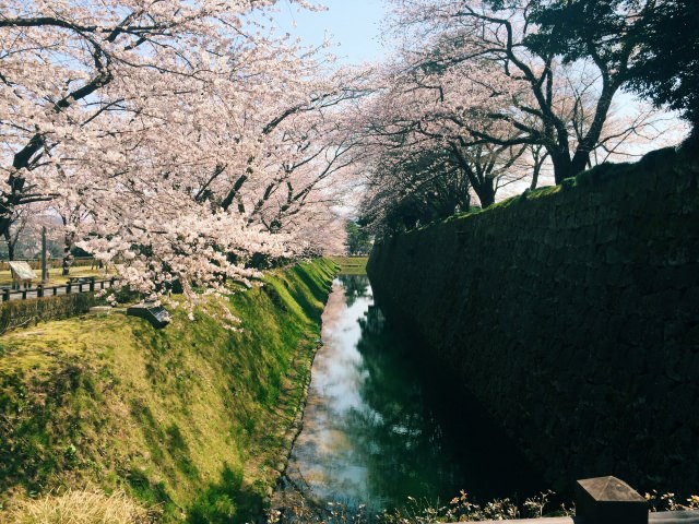 3. 能欣賞到世外桃源般的風景的賞櫻景點「金澤城公園」