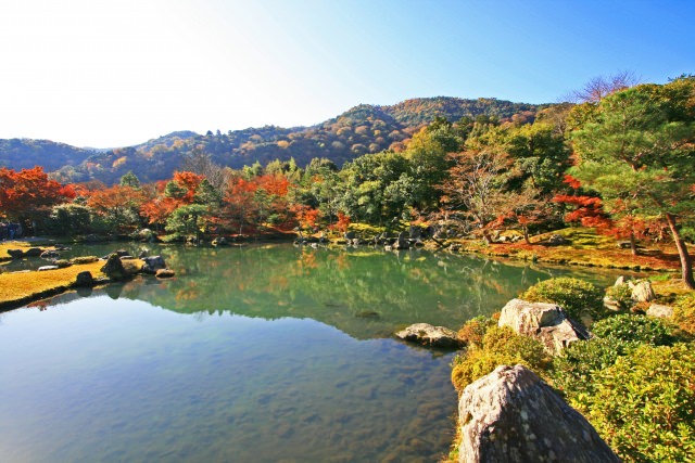 2. 從特別名勝的庭園眺望嵐山的紅葉「天龍寺」