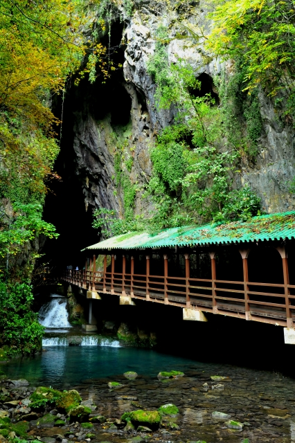 感受大自然的神秘吧 山口值得一去的鍾乳洞和洞窟5選 Seeingjapan