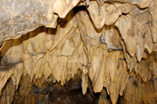 去神秘的洞窟探險吧 四國的推薦洞窟 鐘乳洞8選 Seeingjapan